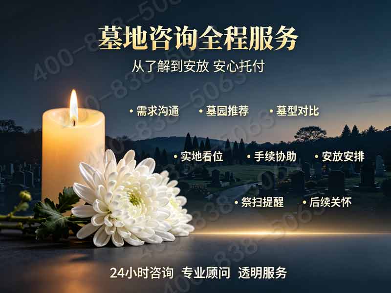 树葬：合规安葬新典范，环保安心之选