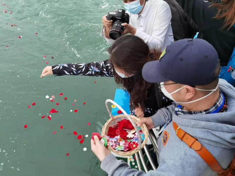 海撒需要多少钱？海撒价格高吗？